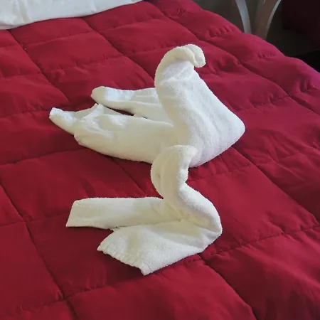 La Huella Del Camino Belorado